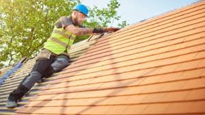 Best Skylight Installation and Repair  in Palatka, FL